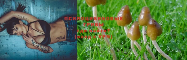 соль курить ск Волгодонск