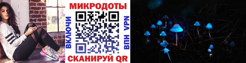 Купить закладки  Лебедянь  Галлюциногенные грибы мухоморы 